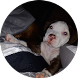 Profile photo of Carlos Rodriguez