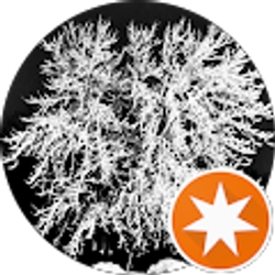 Profile photo of Aunt Psy