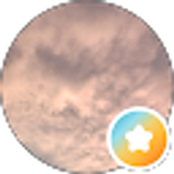 Profile photo of Monica