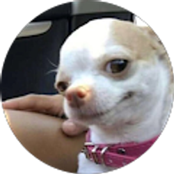 Profile photo of luis flores
