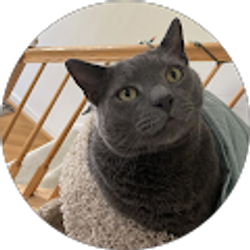 Profile photo of Charlie Bern