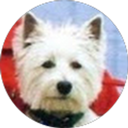 Profile photo of Ron Petersen