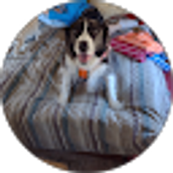 Profile photo of Michigan Camping Destinations