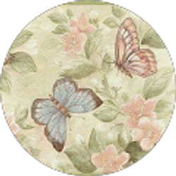 Profile photo of Katelyn Lucas