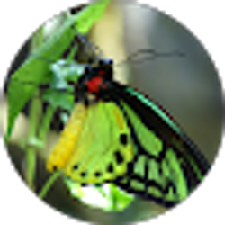 Profile photo of Janet Hall