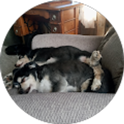 Profile photo of Teddi