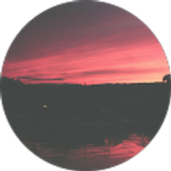 Profile photo of Heidi Hartman