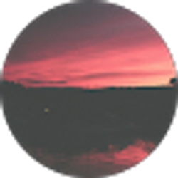 Profile photo of Heidi Hartman