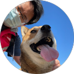 Profile photo of david Wei