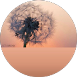 Profile photo of Valerie Wright