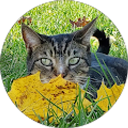 Profile photo of Manita Gartner