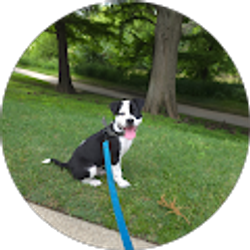 Profile photo of Mery Obando