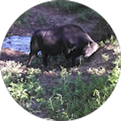 Profile photo of Antonio Loera