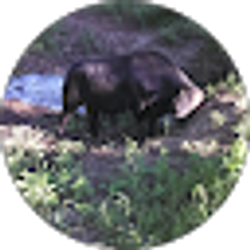 Profile photo of Antonio Loera