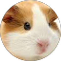 Profile photo of Giselle P.
