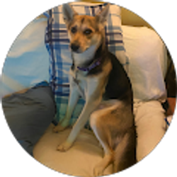 Profile photo of J & H Burton Burton