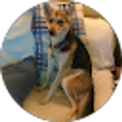 Profile photo of J & H Burton Burton