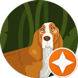 Profile photo of David Moss