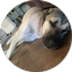 Profile photo of Faddis Family