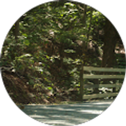 Profile photo of Celine Vigneault