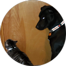 Profile photo of Rick Phillips