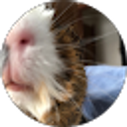 Profile photo of Kristen