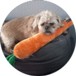 Profile photo of Sharon Theorine