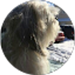 Profile photo of margie wilson