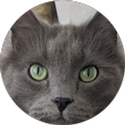 Profile photo of Rebecca Johnson