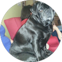 Profile photo of Magmamlg13 G