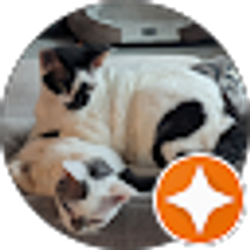 Profile photo of Sharon Pelletier