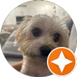 Profile photo of Ihosvany Romero