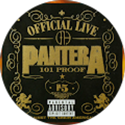 Profile photo of V V