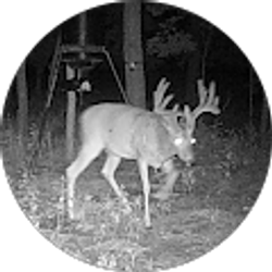 Profile photo of Hunter James