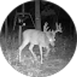 Profile photo of Hunter James