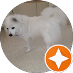 Profile photo of D Mac