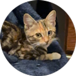 Profile photo of Mady R