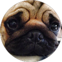 Profile photo of Marty Cox