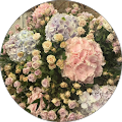 Profile photo of Sara Alexander