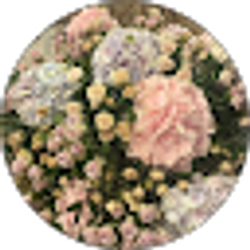 Profile photo of Sara Alexander