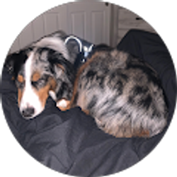 Profile photo of Patrick Christensen