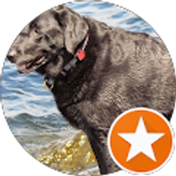 Profile photo of Jacques du Moulin