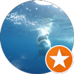 Profile photo of Cosmos Bandit