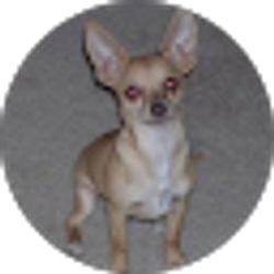 Profile photo of K Smith
