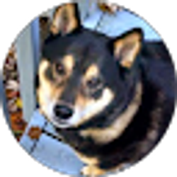 Profile photo of Kevin Lambert