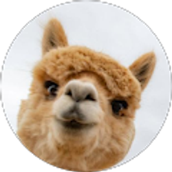 Profile photo of Kevin Shaker