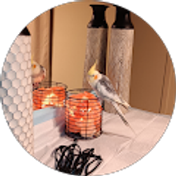 Profile photo of Cassandra Jefferson