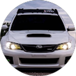 Profile photo of David Palider