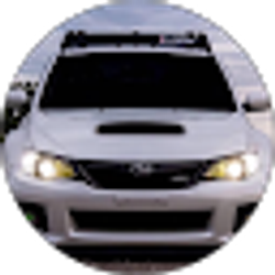 Profile photo of David Palider