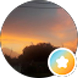 Profile photo of Cindy Reyna